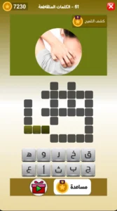 الفهيم العربي